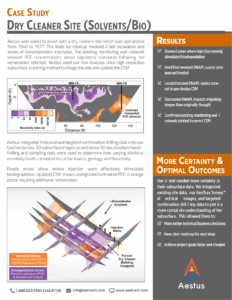 Aestus Case Study - Dry Cleaner Site